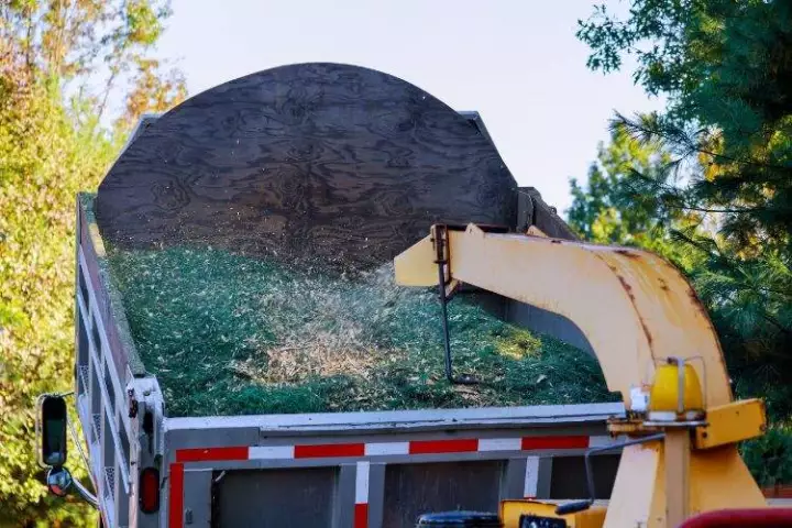 Réduction des végétaux et nettoyage de chantier