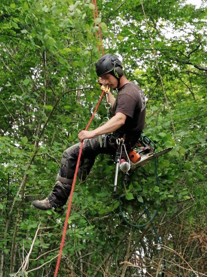 Élagage et taille arboricole Chalon-sur-Saône