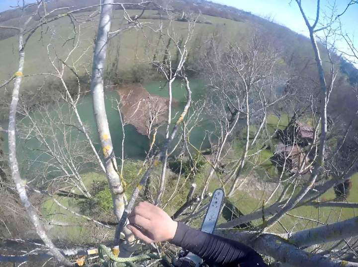 Abattage sécurisé Chalon-sur-Saône