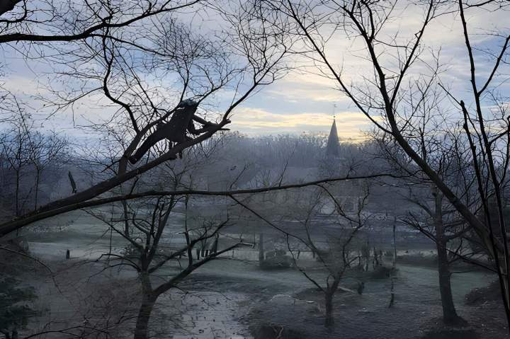 Taille professionnelle des arbres Chalon-sur-Saône