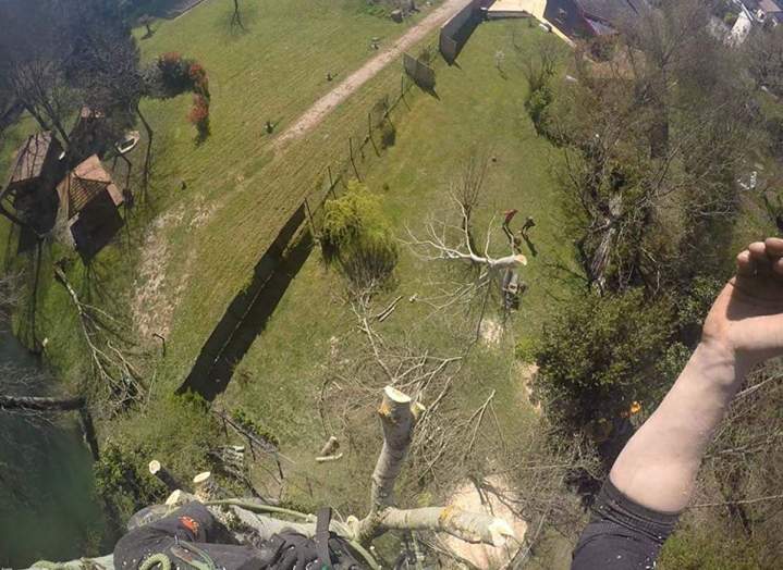 Élagage arbre de grande hauteur Chalon-sur-Saône