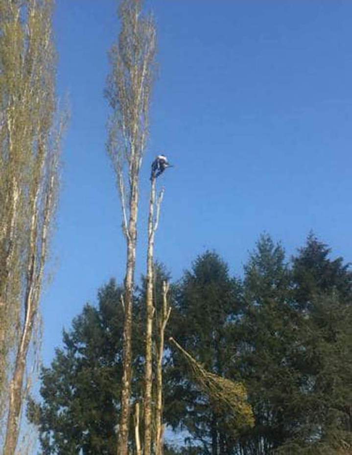 Arboriste-grimpeur Chalon-sur-Saône