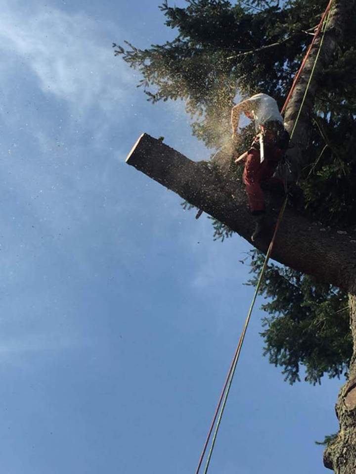 Broyage Chalon-sur-Saône