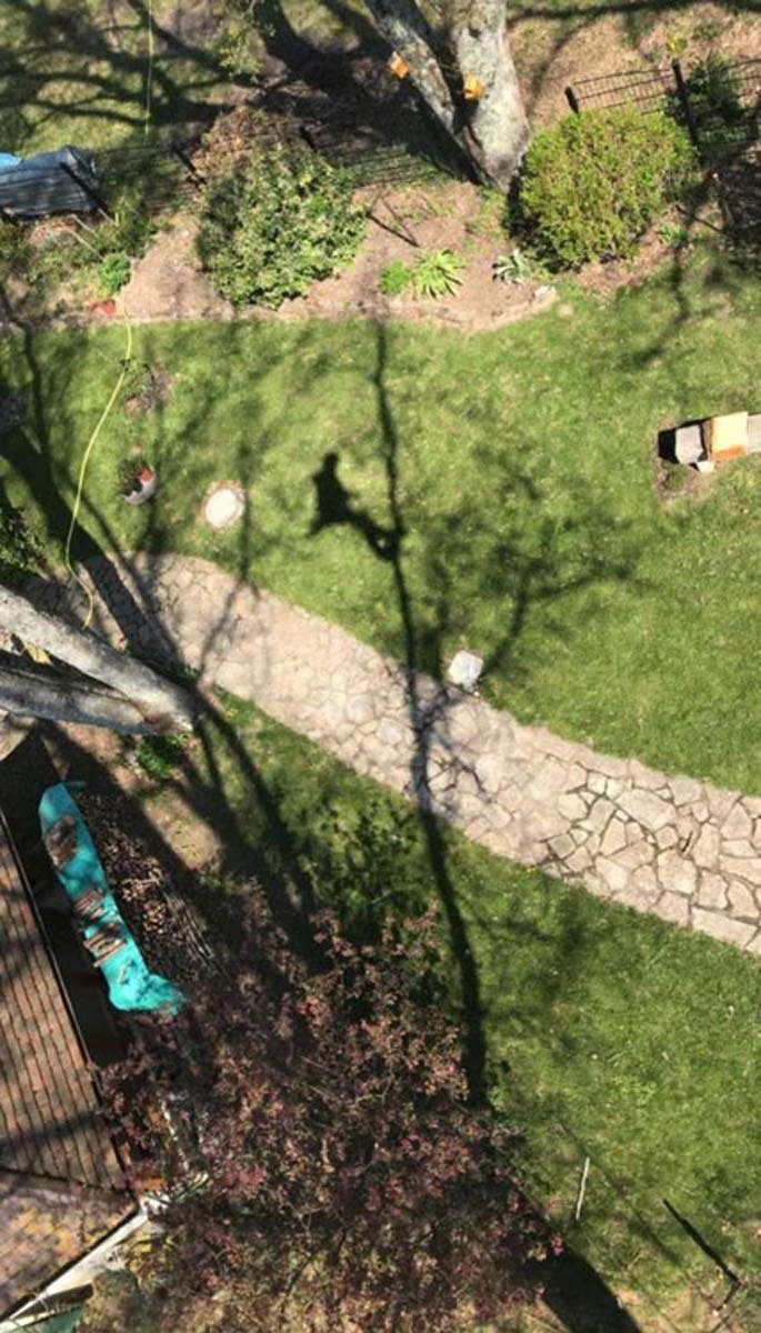 Élagage professionnel Chalon-sur-Saône