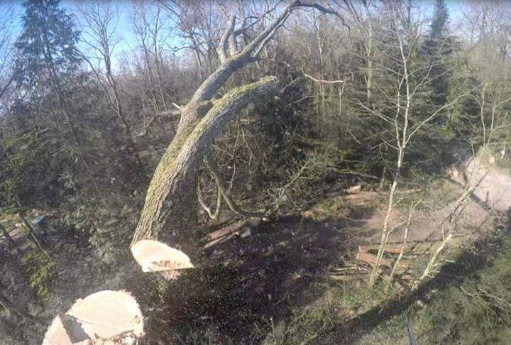 Abattage Chalon-sur-Saône